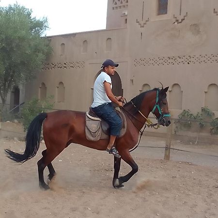Hotel Kasbah Dar Dmana Skoura Zewnętrze zdjęcie