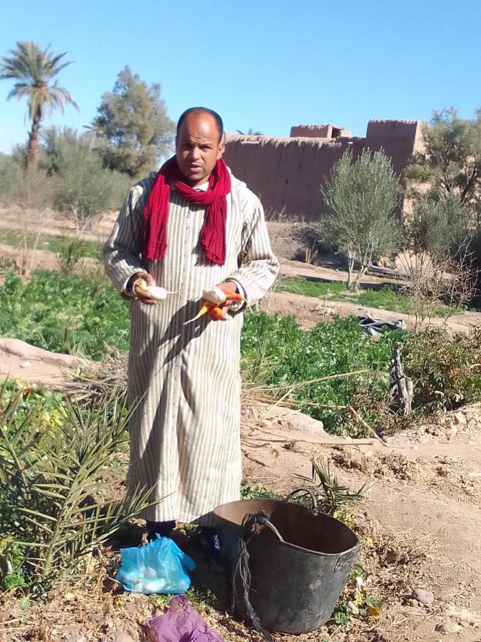 Hotel Kasbah Dar Dmana Skoura Zewnętrze zdjęcie