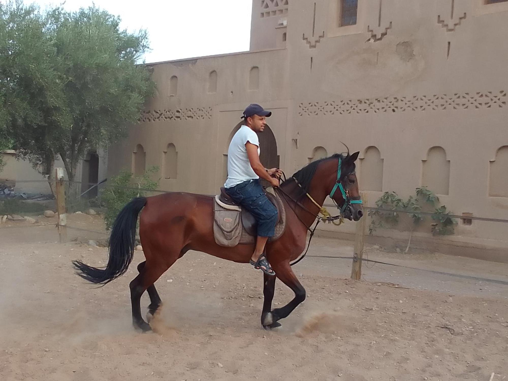 Hotel Kasbah Dar Dmana Skoura Zewnętrze zdjęcie